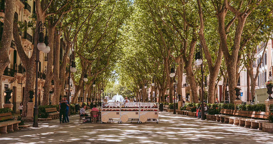 la rambla palma mallorca blumenmarkt spaziergang