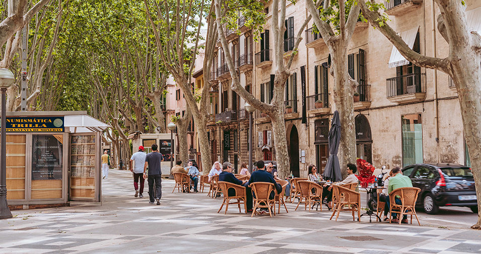 paseo del born palma mallorca einkaufsstraße